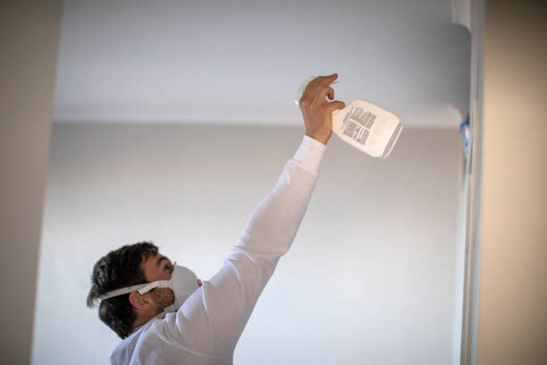 Best Office Mold Removal Services  in Faxon, PA