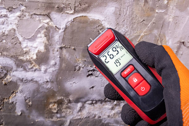 Best Crawl Space Mold Removal  in Faxon, PA