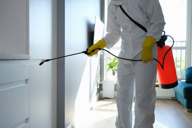 Best Mold Damage Repair  in Faxon, PA