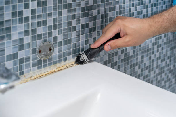 Best Mold Cleaning Services  in Faxon, PA