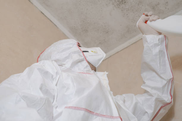 Best Professional Mold Removal  in Faxon, PA