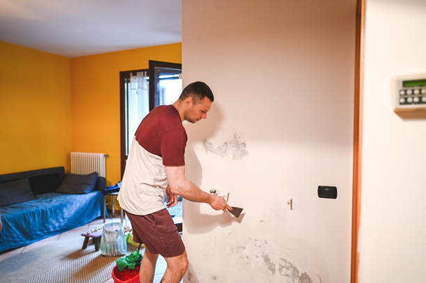 Faxon, PA Mold Removal Company